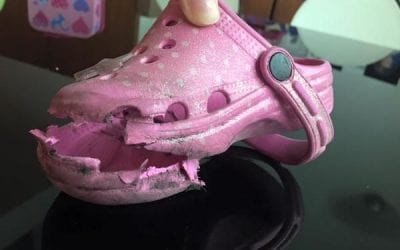 Croc Shoes Faces Lawsuit In Toddler Product Liability Injury