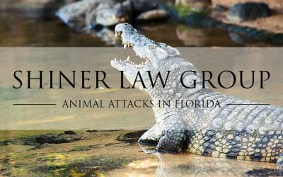 Who is Liable for Animal Attacks and Injuries?