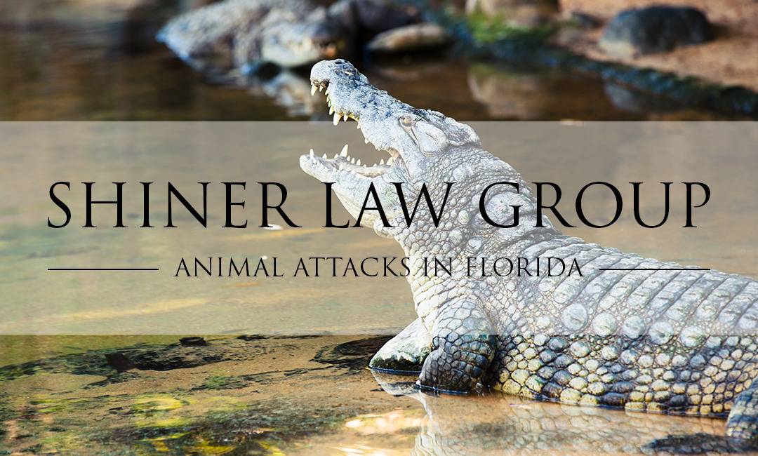 Who is liable for animal attacks in Florida
