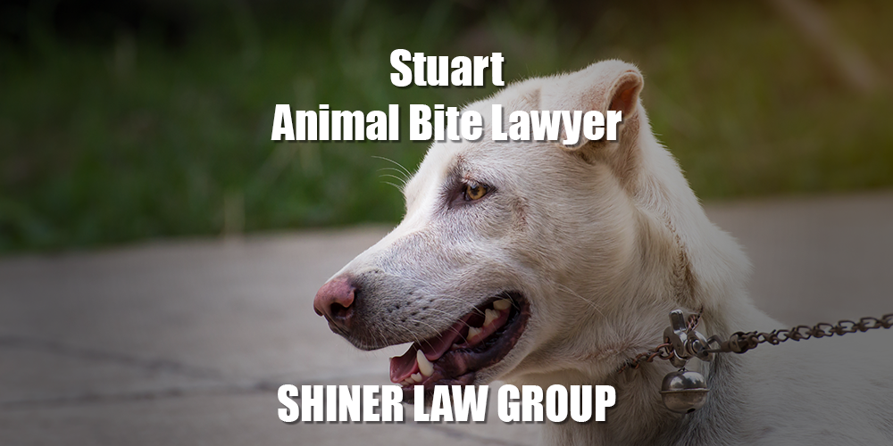 Stuart Animal Bite Lawyer