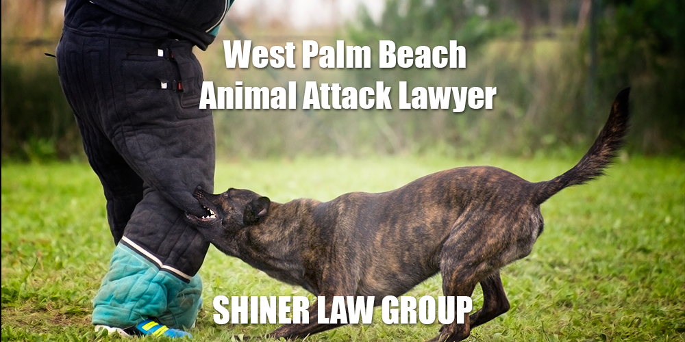 West Palm Beach Animal Attack Lawyer