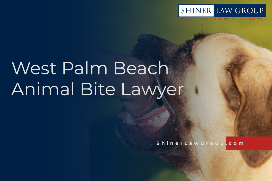 West Palm Beach Animal Bite Lawyer