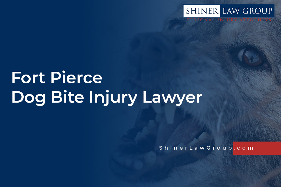 Fort Pierce Dog Bite Injury Lawyer