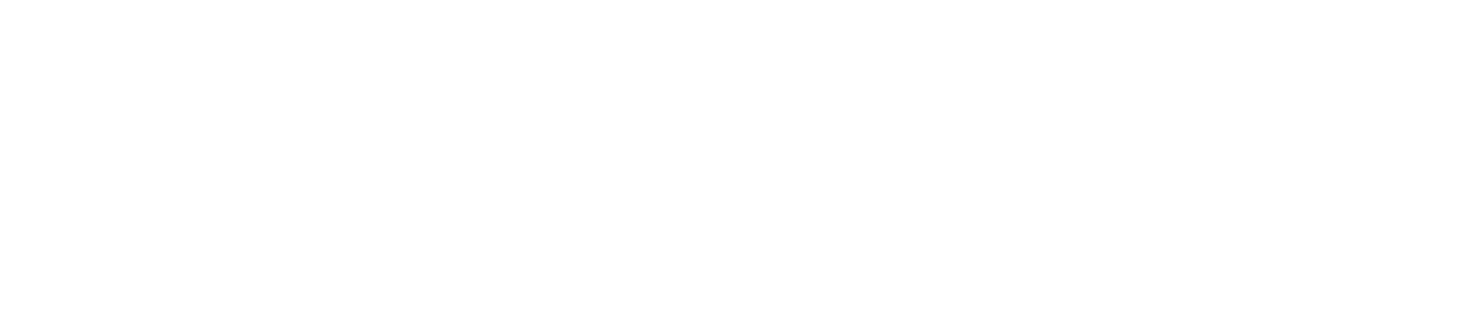 Shiner Law Group Abogados de Accidentes y Lesiones Light